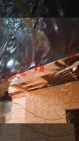 1000029276.mp4 (Собака наблюдает за креплением имитации бруса внутри дома А-фрейм)