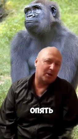 Арсен! Это ты?