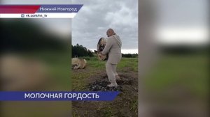 Молочный форум прошёл на территории нижегородской Ярмарки