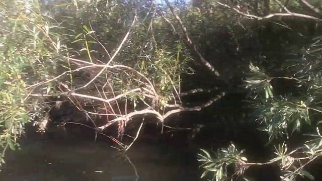 Где-то едем, где-то плывем по реке на самодельном квадроцикле с двигателем Toyota 1.8л. 1ZZ-FE смотреть онлайн