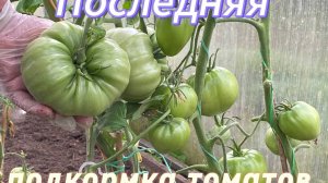 Обрезали листья … что ДЕЛАТЬ ДАЛЬШЕ?!