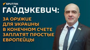 Гайдукевич: за оружие для Украины в конечном счете заплатят простые европейцы