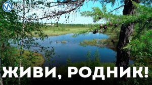 Живи, родник!