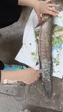 Кто угадает на каком я языке говорю в данном видео_Who can guess what language I speak in this video