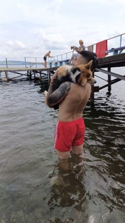 Как оказалось, Бэйли умеет плавать 😄