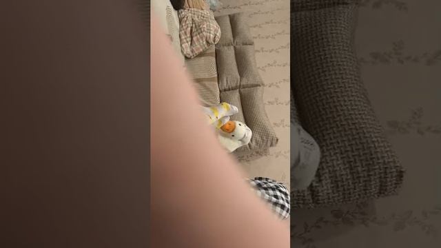 вязаные крючком цветные салфетки