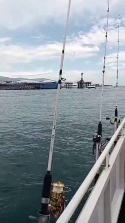 Морская рыбалка в Адлере