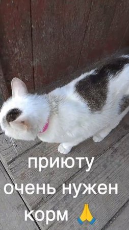 +7985 193 0027 сбер элплат