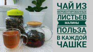 Ферментированный чай из листев малины. Польза и вкус!