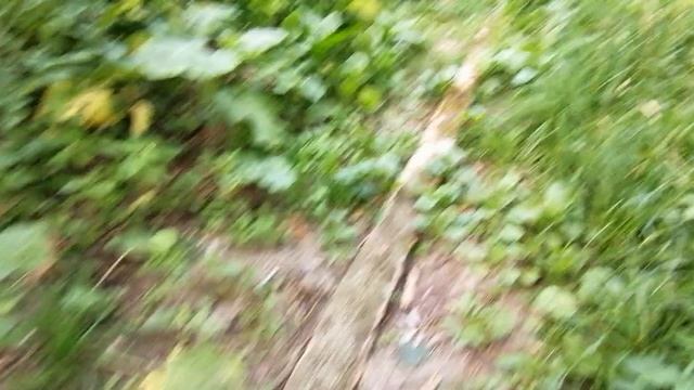 15.07.2025.Усадьба Парк Кино Ляхово. Домодедово. Обзор проведённых работ. Решаем проблемы вместе. Вм