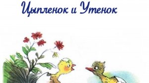 Цыпленок и утенок В.Сутеев
