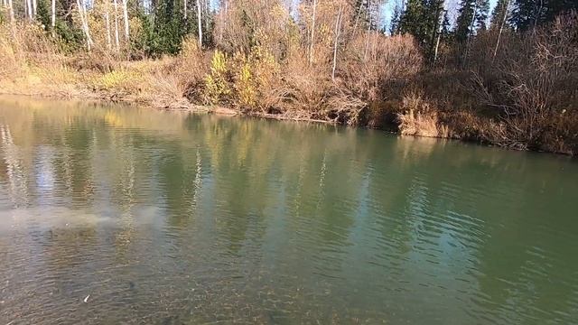 Первая поездка в лес, с проверкой плавучести вездехода смотреть онлайн