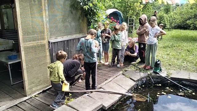 VID20250716123412 смотреть онлайн