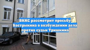 ВККС рассмотрит просьбу Бастрыкина о возбуждении дела против судьи Тришкина