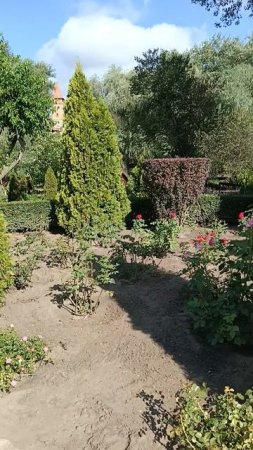 В Лого парке.