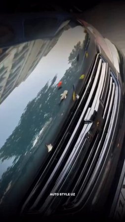 Странная мода на живых рыб в капоте 🐟🐠