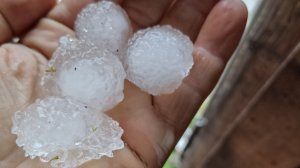 Печальное видео))