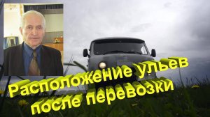 Как правильно разместить ульи после перевозки? Советы профессора Кашковского