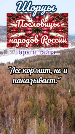 пословицы