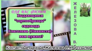 Выдающиеся "сортообразцы"  садовода Глаголева (Пианиста) - вам нужны?