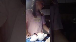играем с лабубами