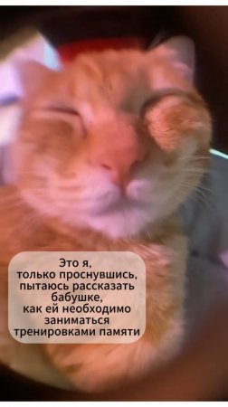 🔤Подари своему близкому радость и тренировку когнитивных функций