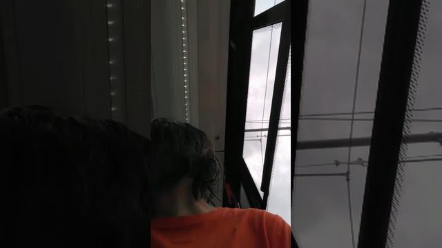 Поездки в общественном транспорте |16-июл-2025, 2