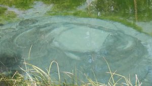 Гейзерное озеро (Горный Алтай).