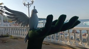 Голубь Мира.