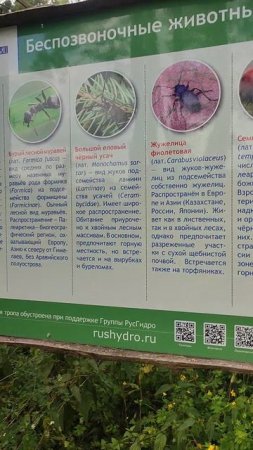 Подходим к Бердским скалам