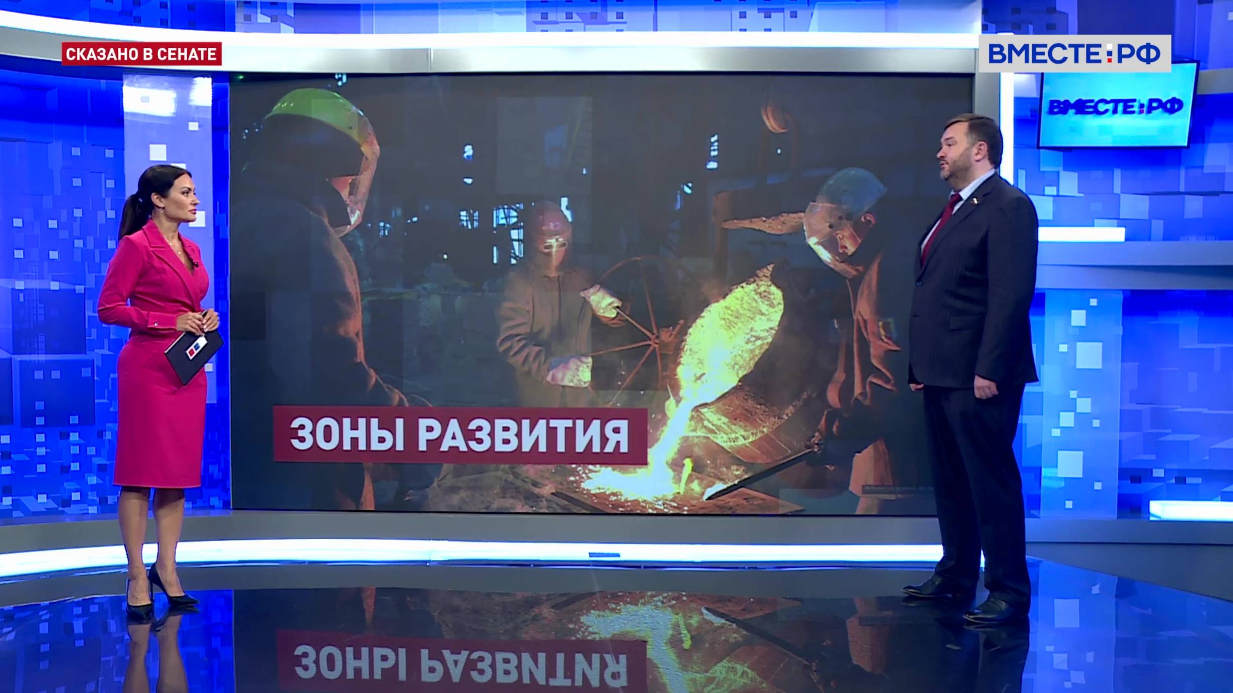 Создание свободной экономической зоны в Донбассе и Новороссии. Дмитрий Ворона. Сказано в Сенате