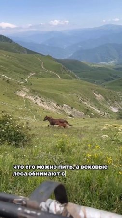 Горы Дилижана в Армении