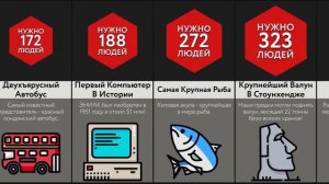Сколько Людей Поднимет ____