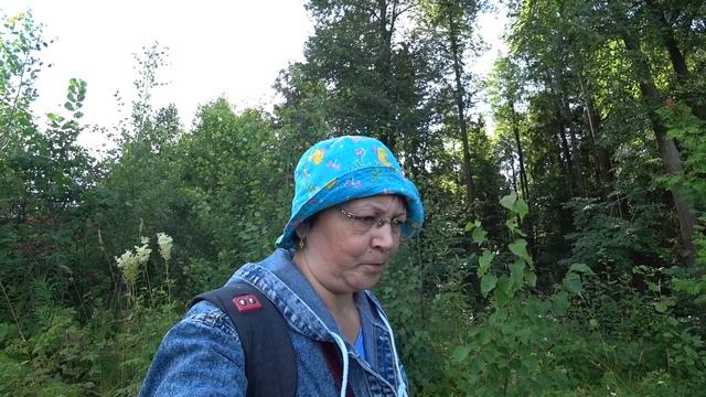 В Пермские леса за малиной 17 июля 2025 смотреть онлайн