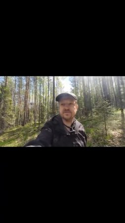 Неожиданный гость на фотоловушке!