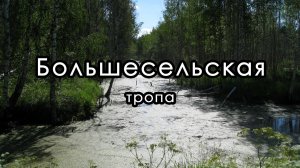 Поход на Вареговские карьеры. Большесельская тропа в Ярославской области.
