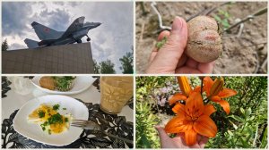 Урожая 🍅 не будет 😢 ! Место гибели Ю. Гагарина и В. Серёгина