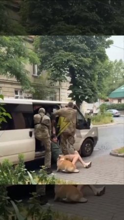 Прощай, тарасик !!!

Вышел с собакой погулять !!!