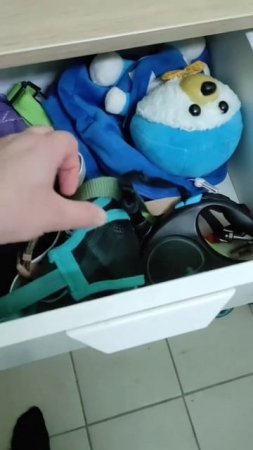 Я уже опасаюсь #французскийбульдог #собака #собакиприколы #бульдоги #суперсобака #сторожеваясобака