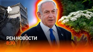 Израиль бомбит Сирию / ВСУ пытаются атаковать Белгород / Война с борщевиком / РЕН Новости 8:30 17.07