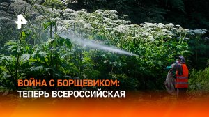 Борщевику объявили войну на федеральном уровне