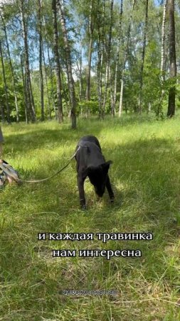 У нас девочка!Малышка Кэрри