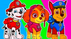 ЩЕНЯЧИЙ ПАТРУЛЬ Спасает бухту приключений - Мультик для детей