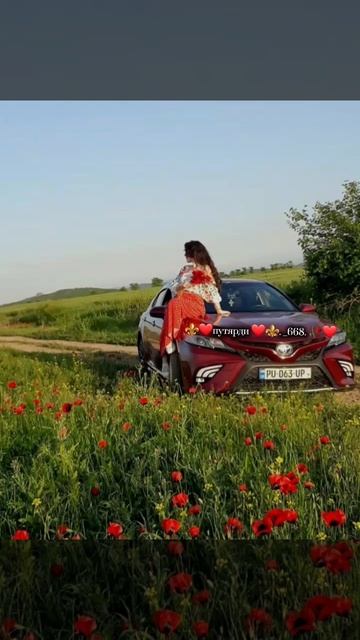 ⚜️ цыганские песни 2025 ⚜️. ашунэн. дэки. Султан лагучев ) 🐻💕. Чирдак 🎶. смотреть онлайн