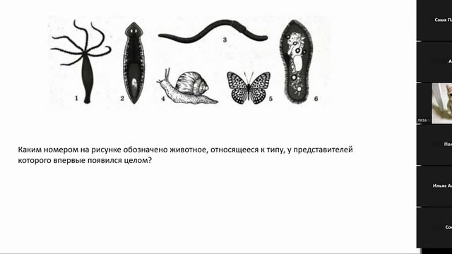 записи практик