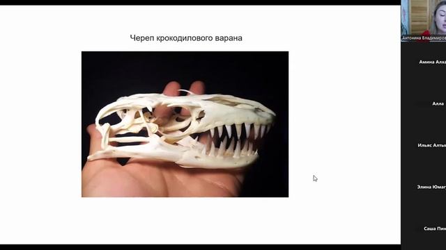 записи практик (5)
