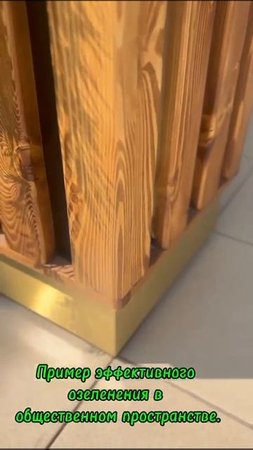 Уличная цветочная клумба