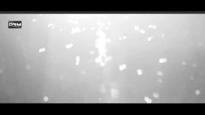 ГИО ПИКА-АД КОЛЫМА