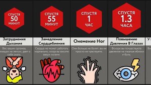 Если Висеть Вверх Ногами