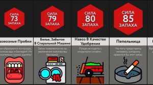 Самые Мерзкие Запахи - 2 ЧАСТЬ!